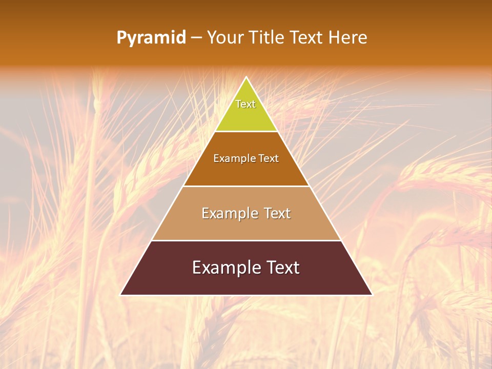Golden Wheat PowerPoint Template