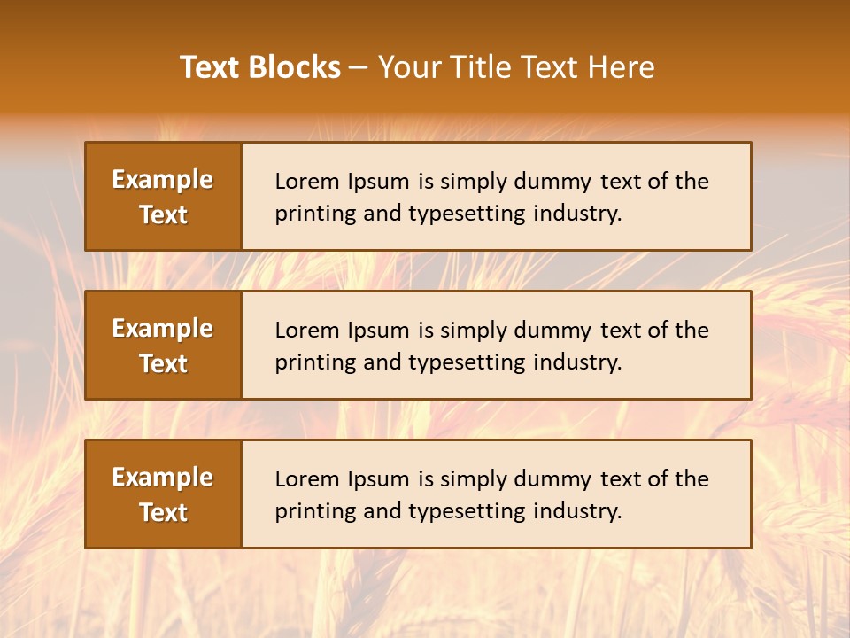 Golden Wheat PowerPoint Template