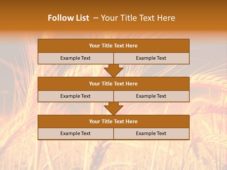 Golden Wheat PowerPoint Template