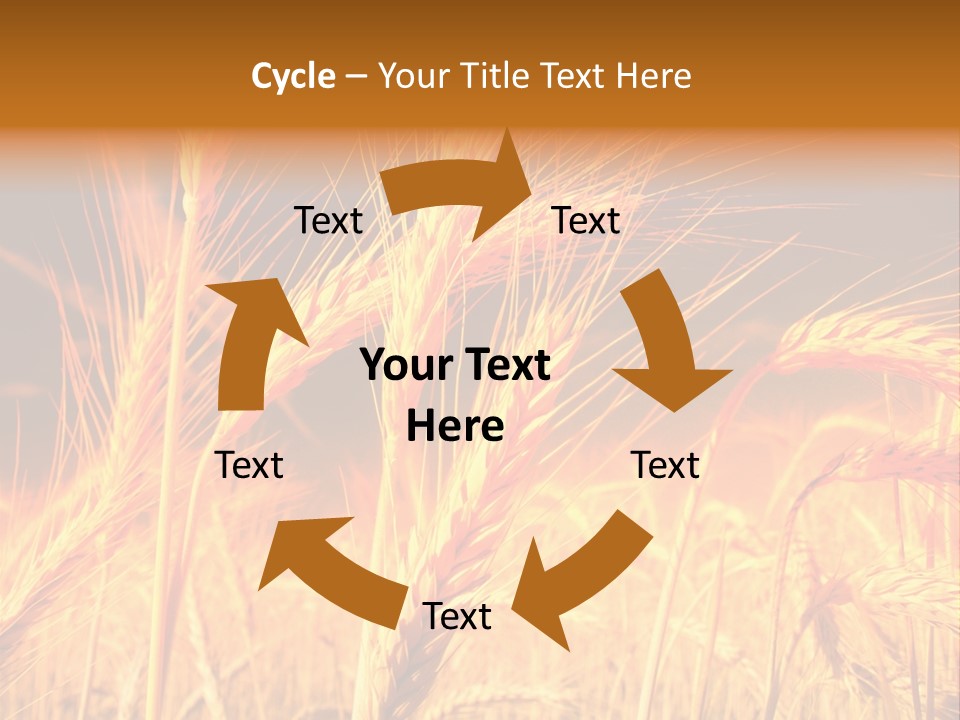 Golden Wheat PowerPoint Template