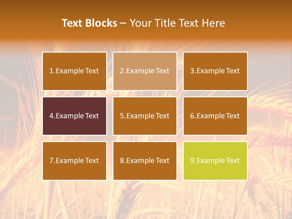 Golden Wheat PowerPoint Template