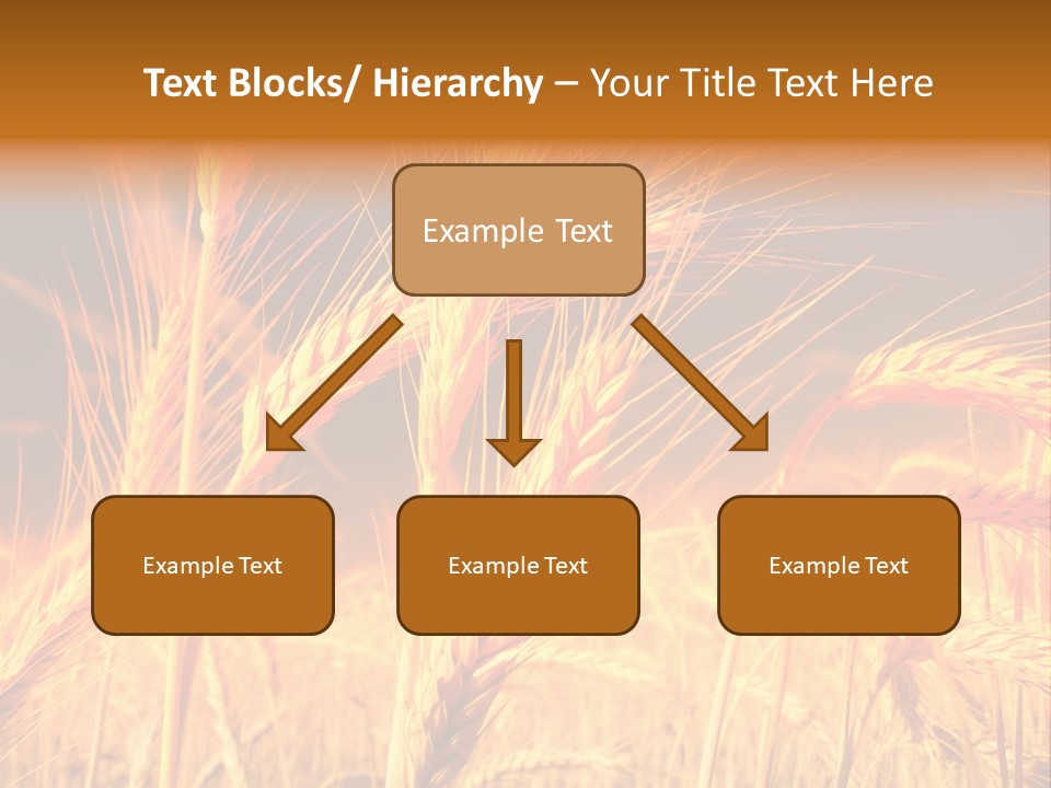 Golden Wheat PowerPoint Template