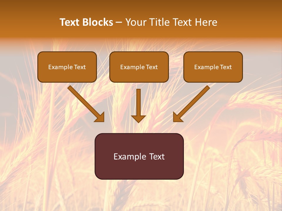 Golden Wheat PowerPoint Template