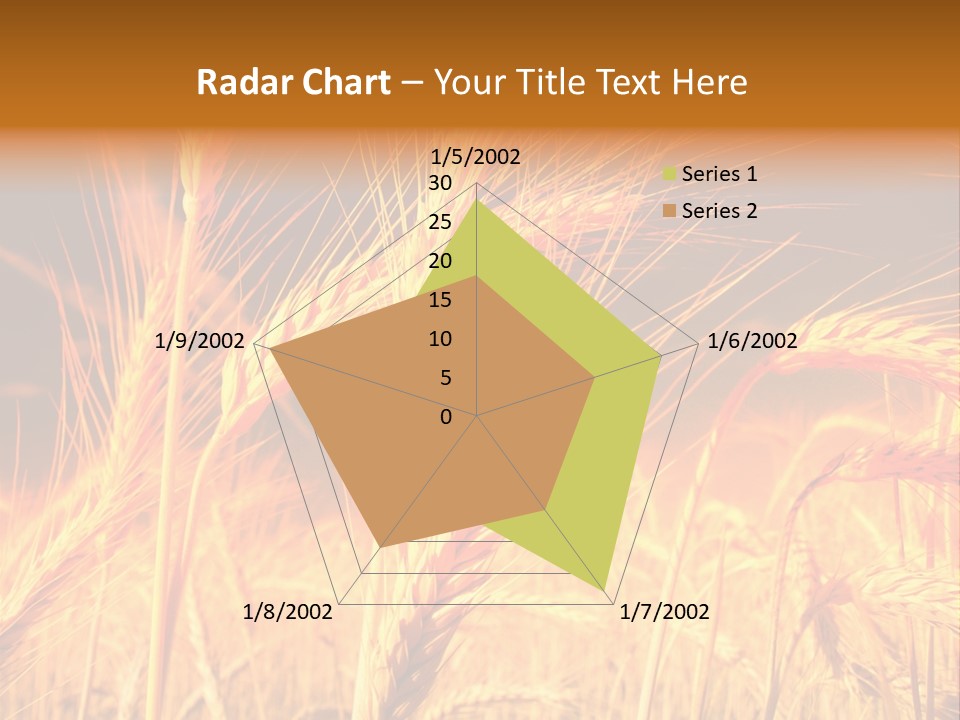 Golden Wheat PowerPoint Template