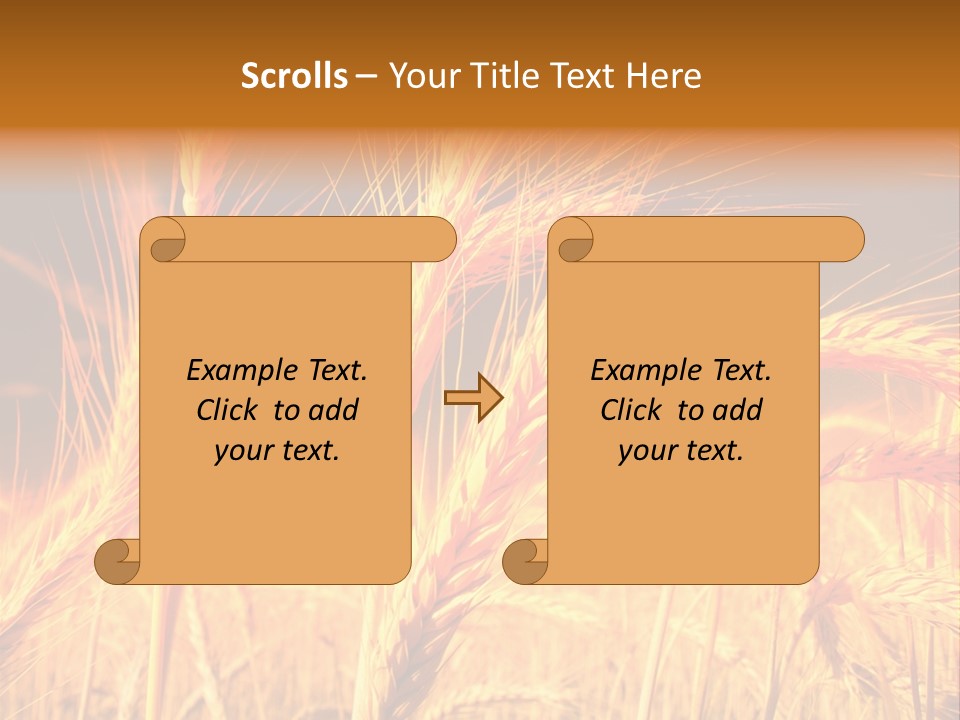 Golden Wheat PowerPoint Template