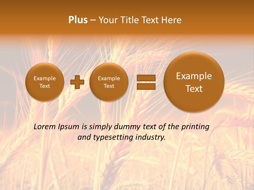 Golden Wheat PowerPoint Template