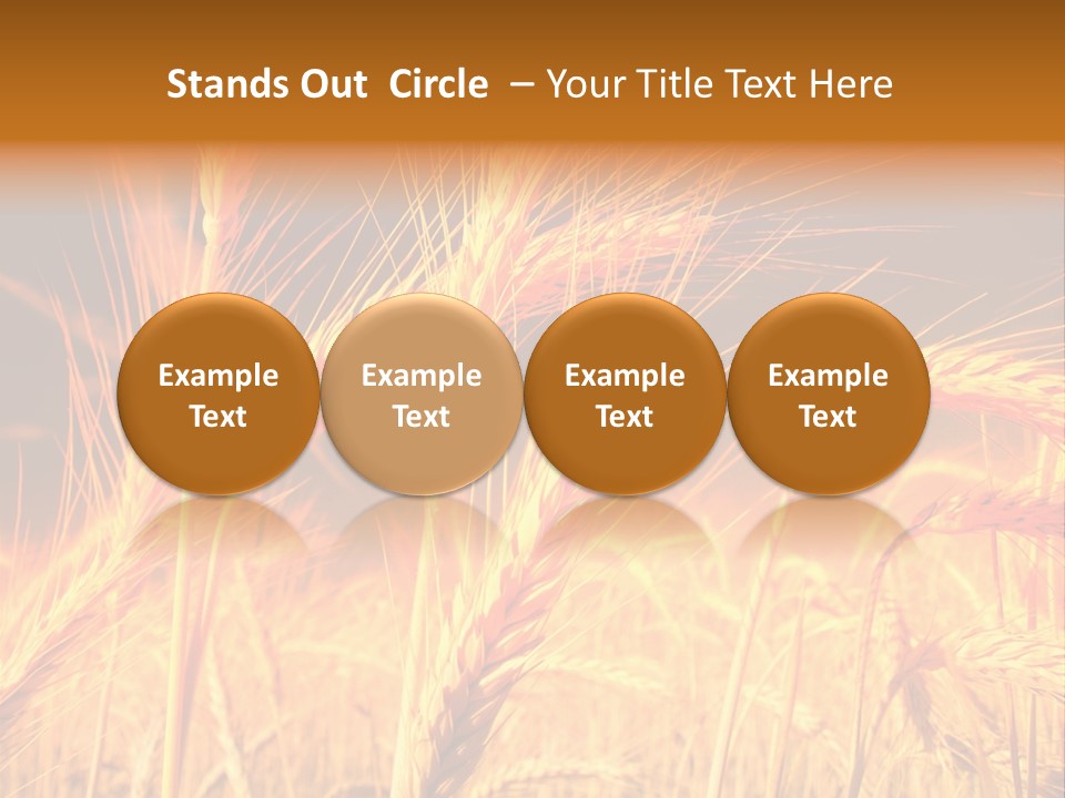 Golden Wheat PowerPoint Template