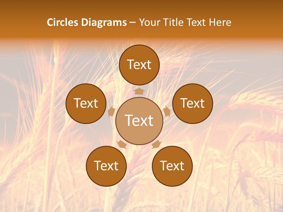 Golden Wheat PowerPoint Template