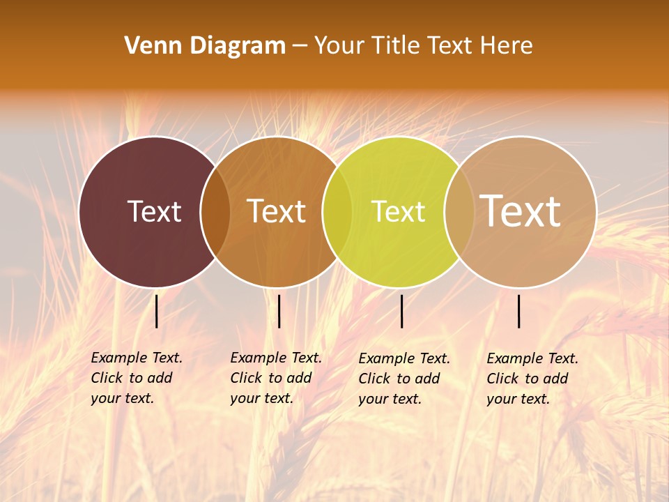 Golden Wheat PowerPoint Template
