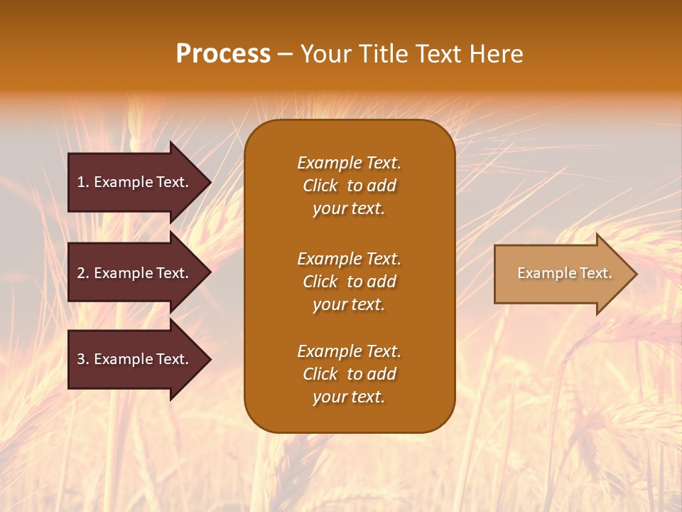 Golden Wheat PowerPoint Template