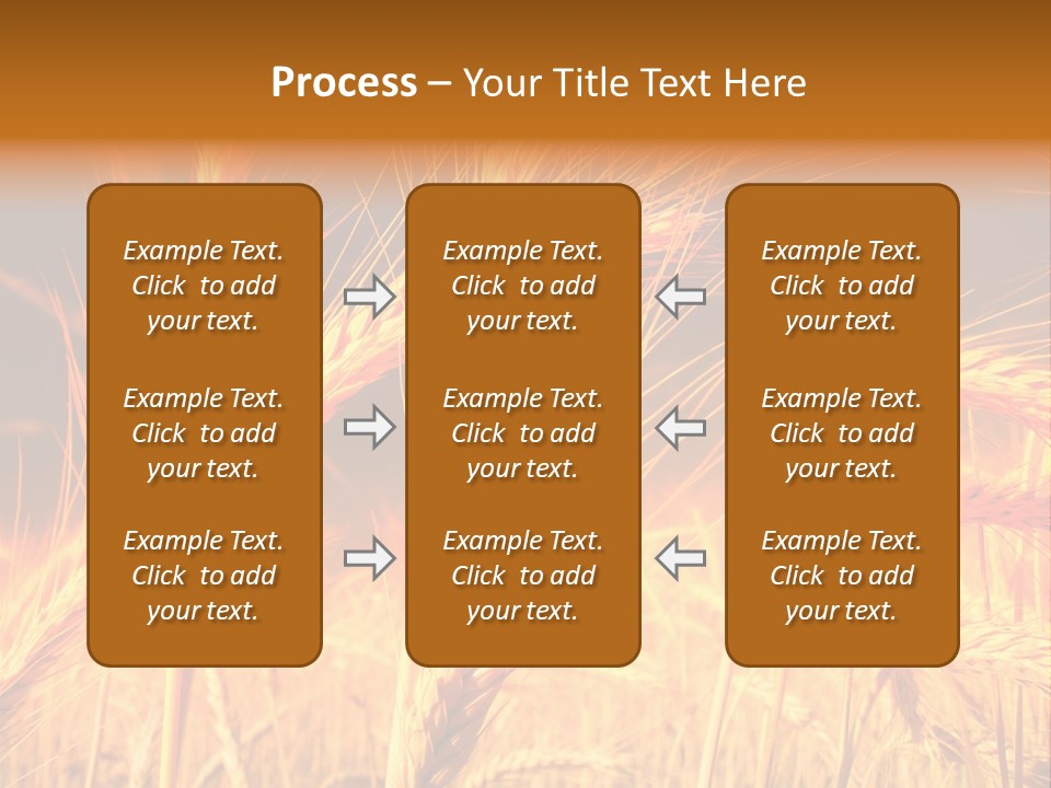Golden Wheat PowerPoint Template