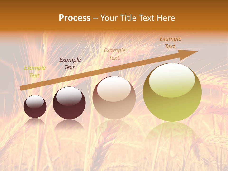 Golden Wheat PowerPoint Template