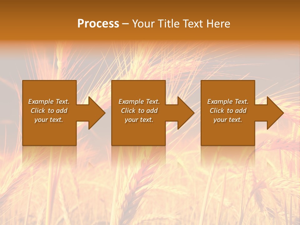 Golden Wheat PowerPoint Template