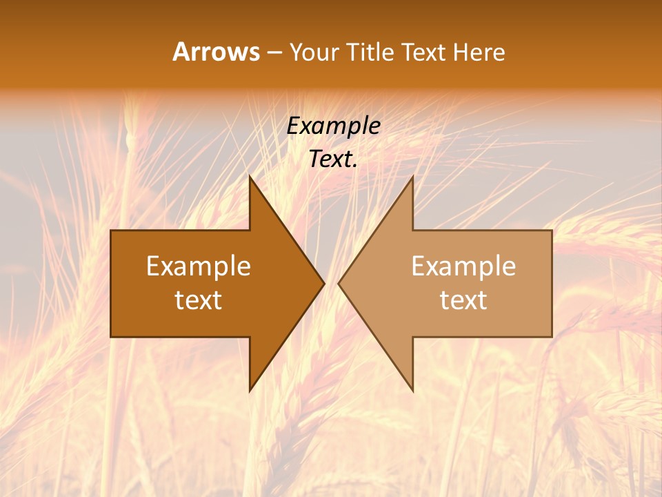 Golden Wheat PowerPoint Template