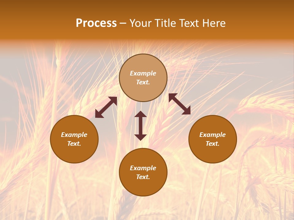 Golden Wheat PowerPoint Template