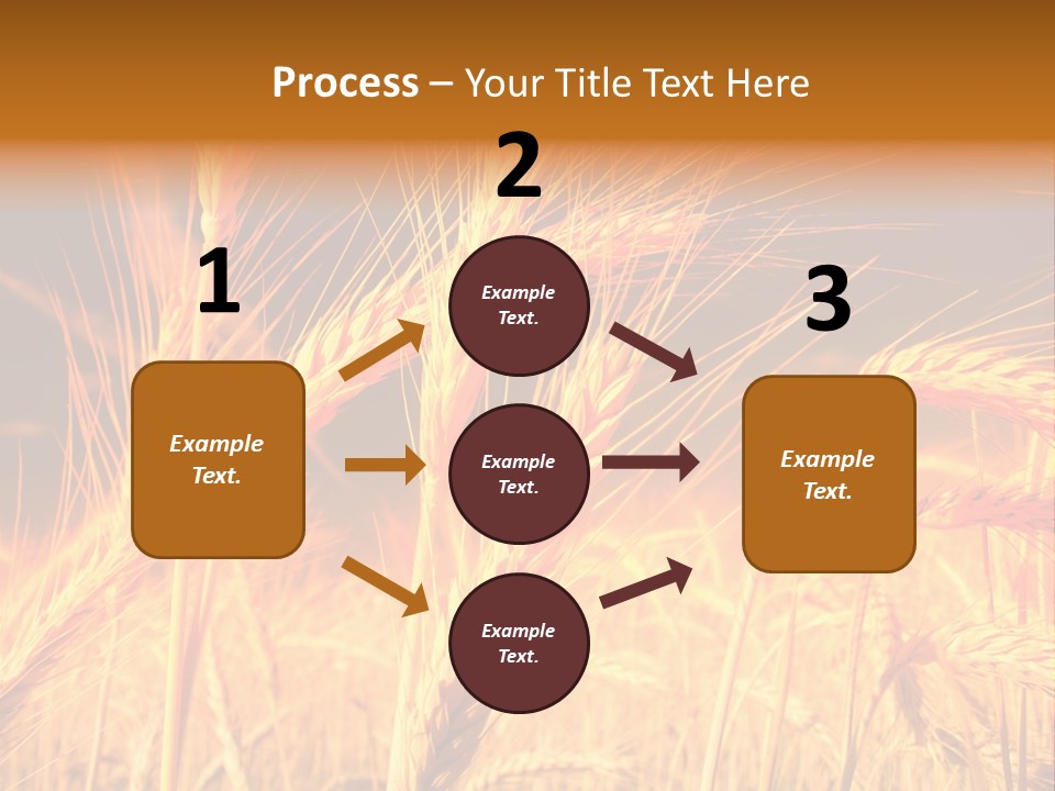 Golden Wheat PowerPoint Template