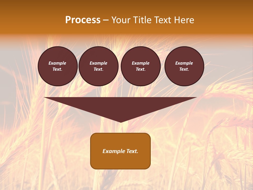 Golden Wheat PowerPoint Template