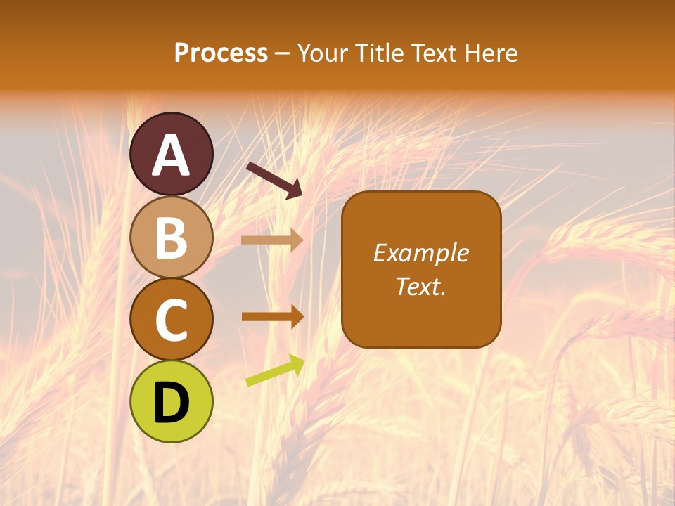 Golden Wheat PowerPoint Template