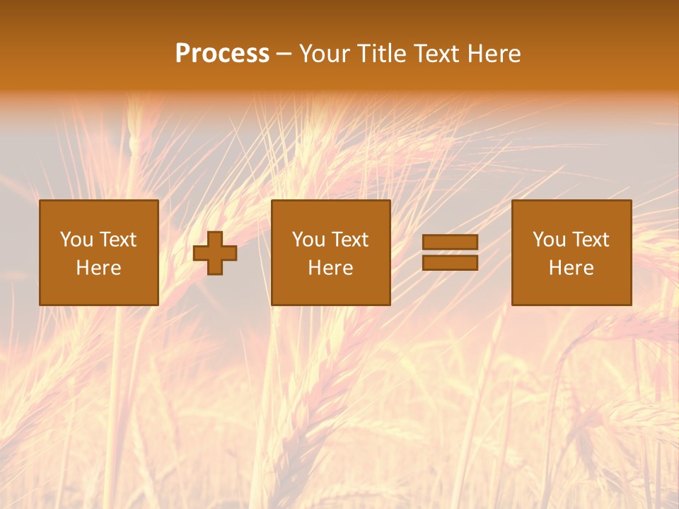 Golden Wheat PowerPoint Template