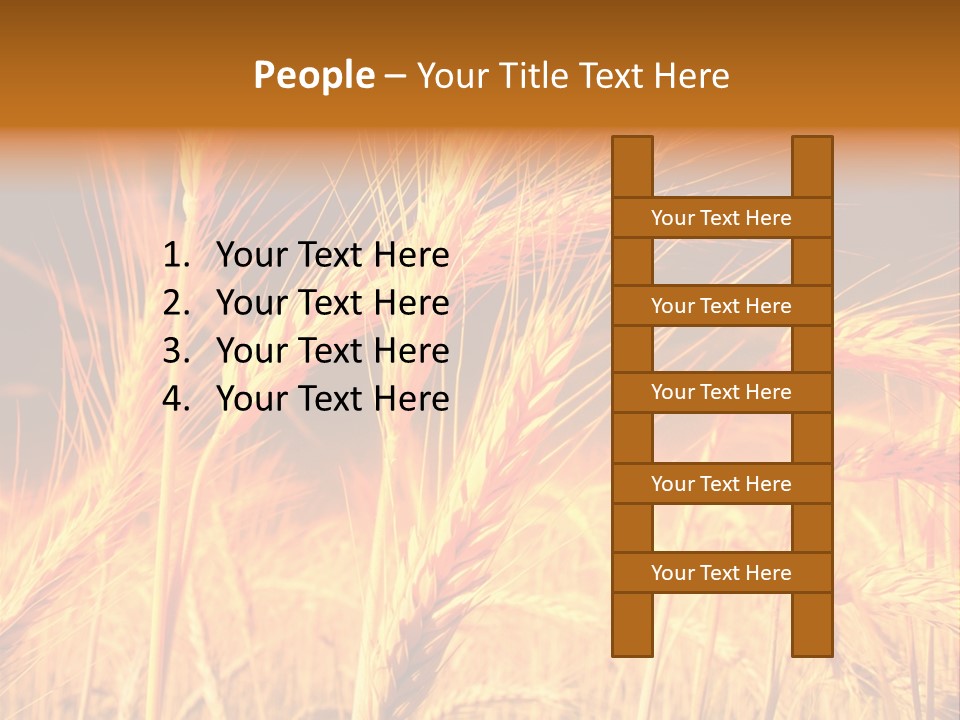 Golden Wheat PowerPoint Template
