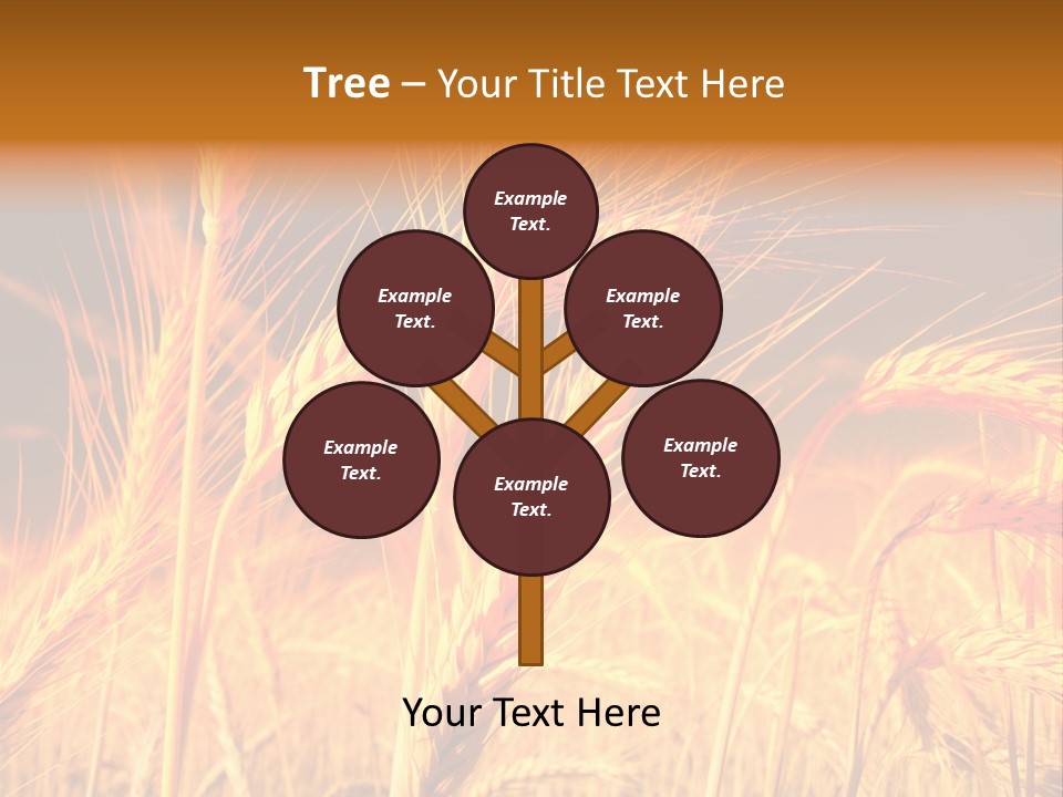 Golden Wheat PowerPoint Template