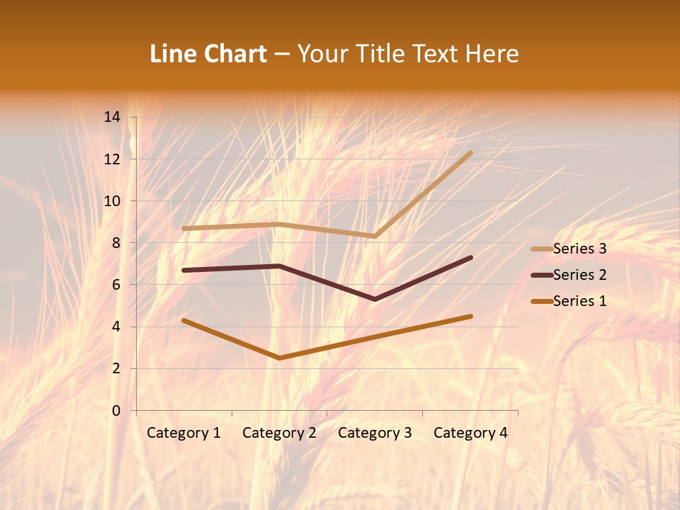 Golden Wheat PowerPoint Template