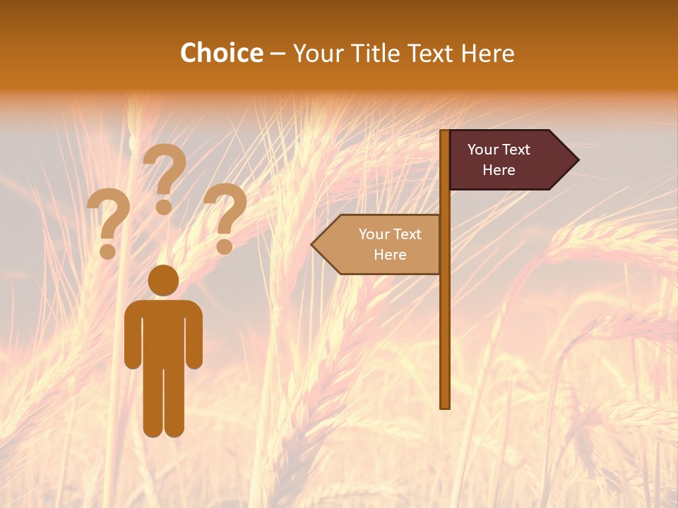 Golden Wheat PowerPoint Template