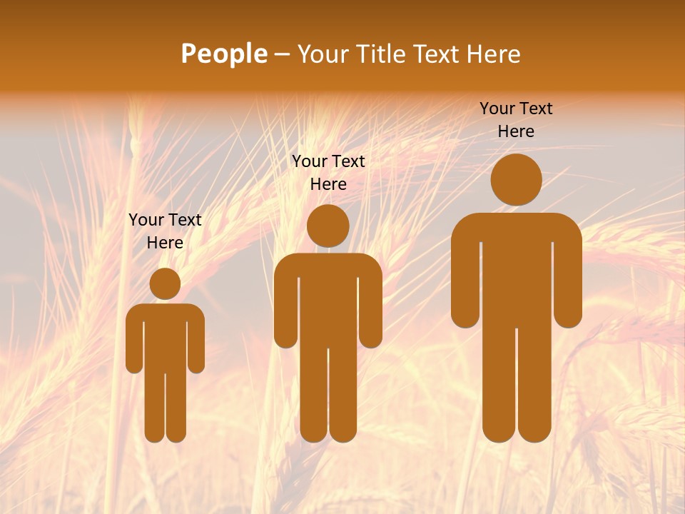 Golden Wheat PowerPoint Template