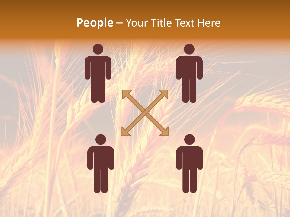Golden Wheat PowerPoint Template