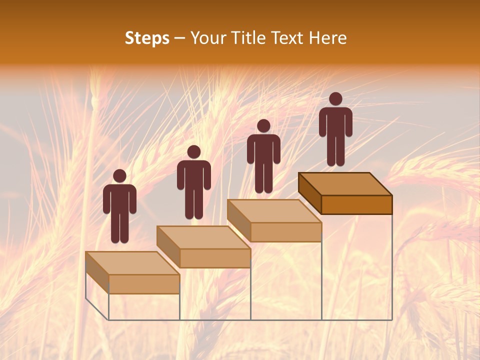 Golden Wheat PowerPoint Template