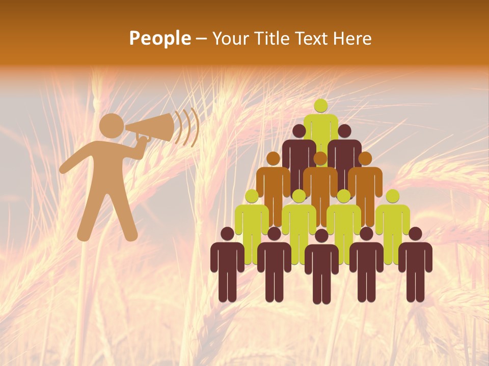 Golden Wheat PowerPoint Template