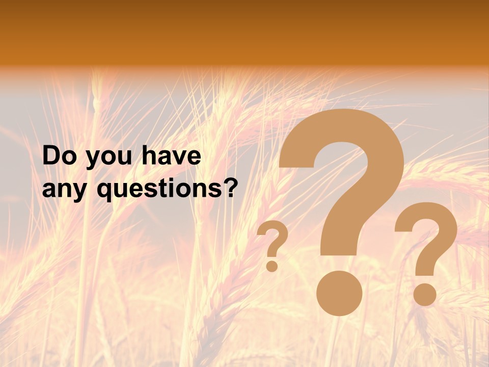 Golden Wheat PowerPoint Template