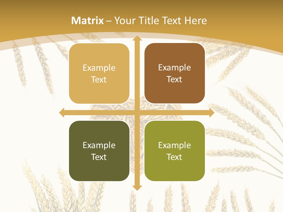 Pão E Trigo Desenho PowerPoint Template