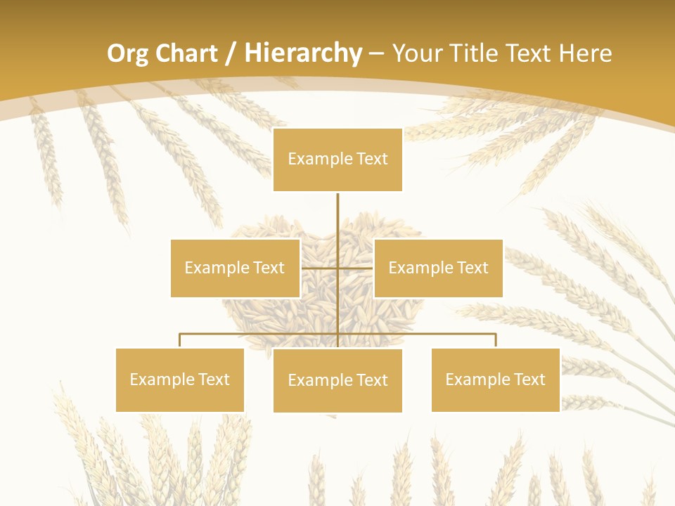 Pão E Trigo Desenho PowerPoint Template