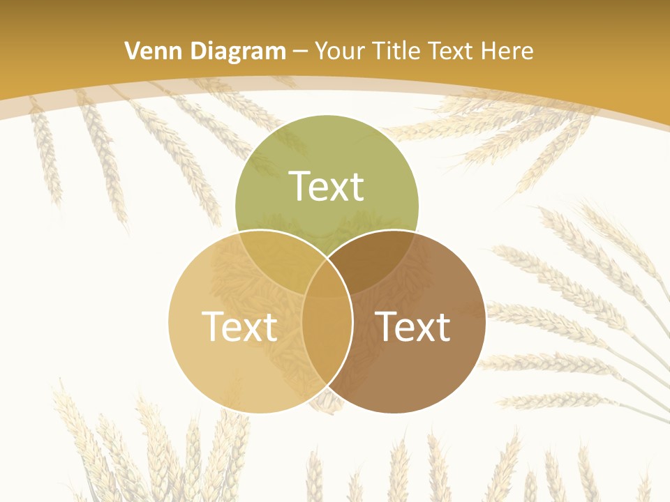Pão E Trigo Desenho PowerPoint Template