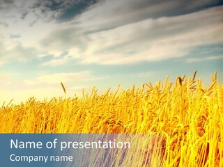 Clear Idyllic Rural PowerPoint Template