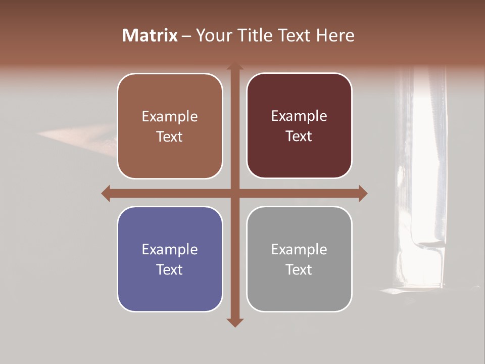 Ninja Kobieta PowerPoint Template