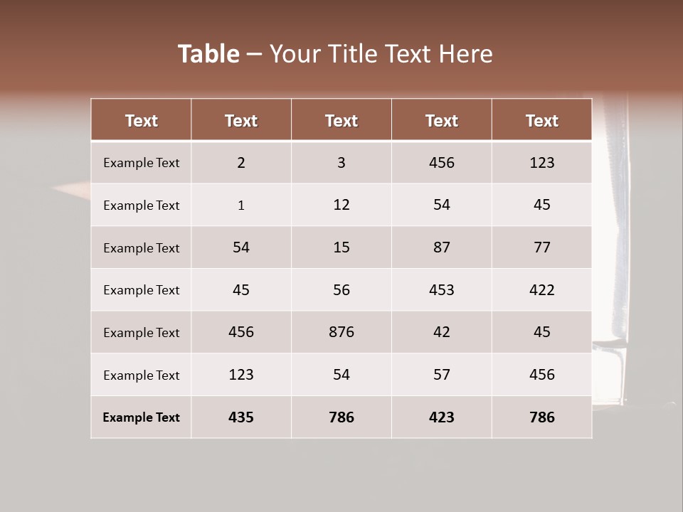 Ninja Kobieta PowerPoint Template