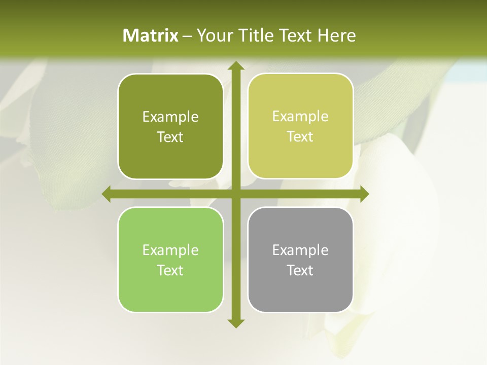 Copy Space Blank PowerPoint Template