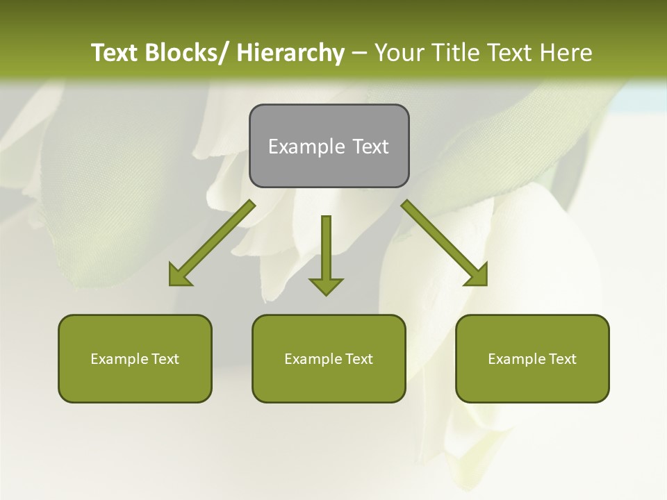 Copy Space Blank PowerPoint Template