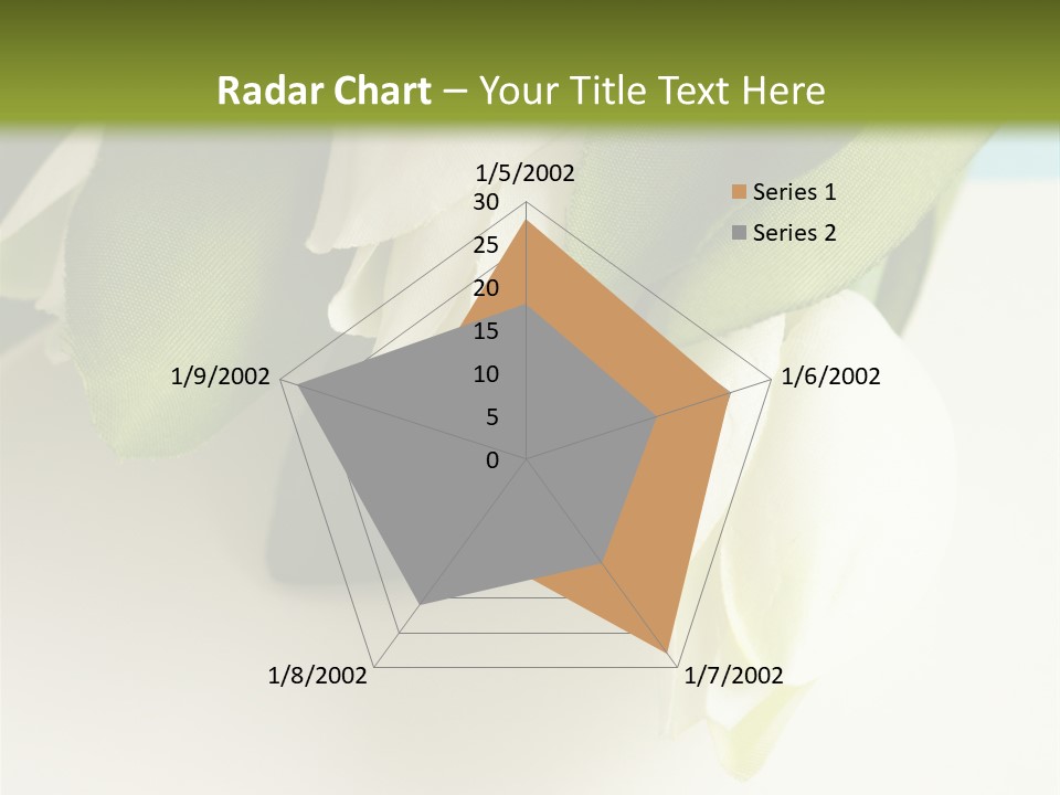Copy Space Blank PowerPoint Template