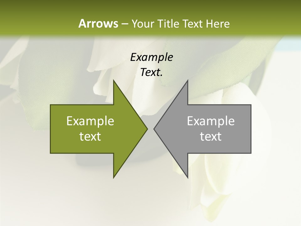 Copy Space Blank PowerPoint Template
