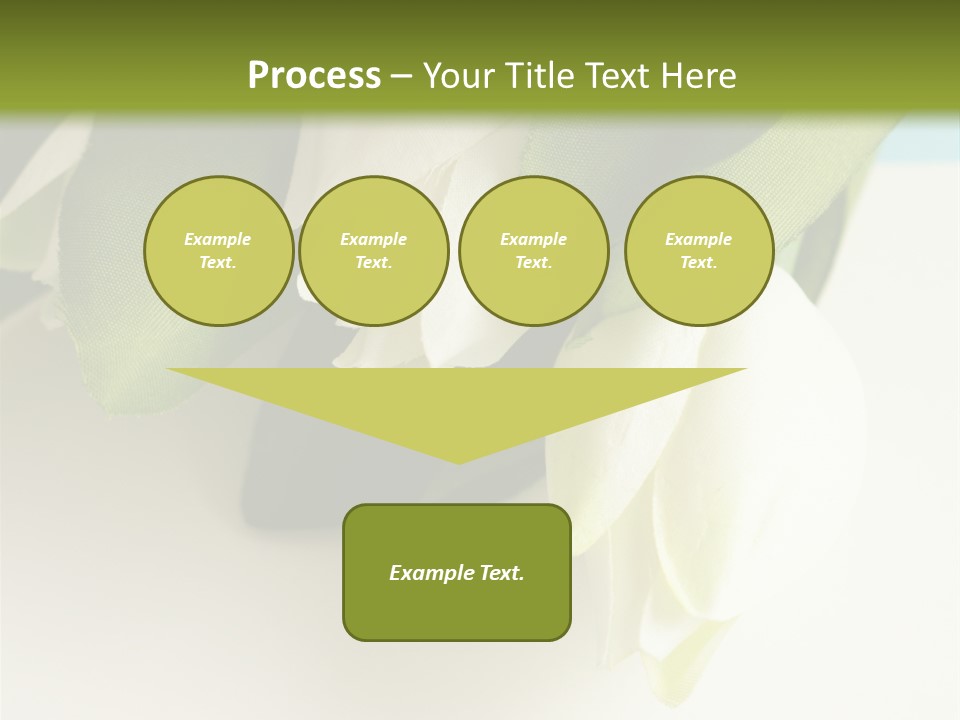 Copy Space Blank PowerPoint Template