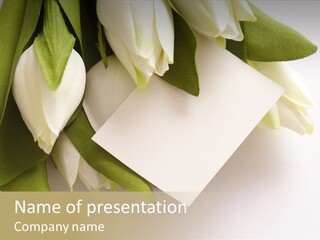 Tulip Card Letter PowerPoint Template