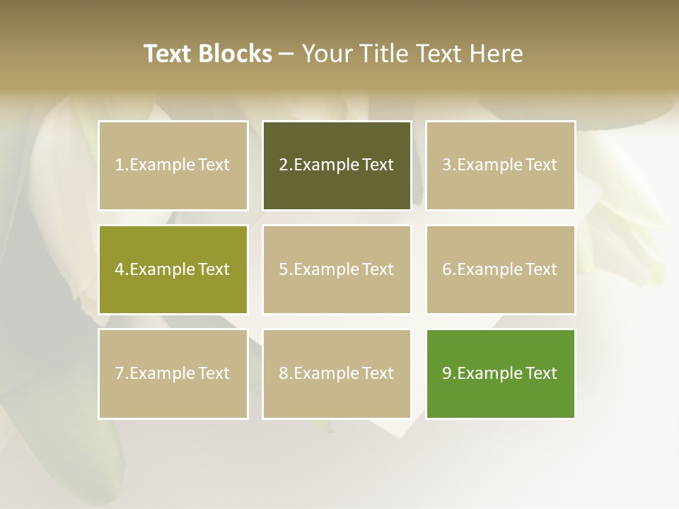 Tulip Card Letter PowerPoint Template