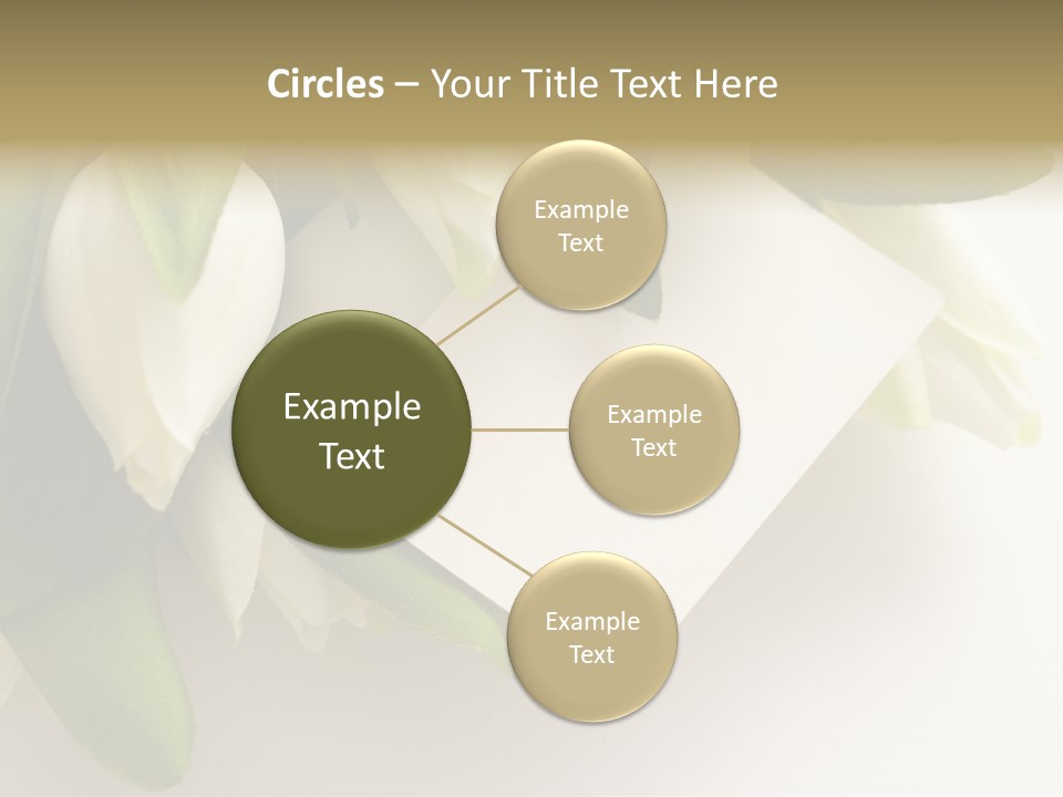 Tulip Card Letter PowerPoint Template