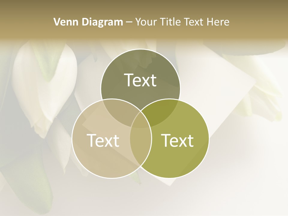 Tulip Card Letter PowerPoint Template