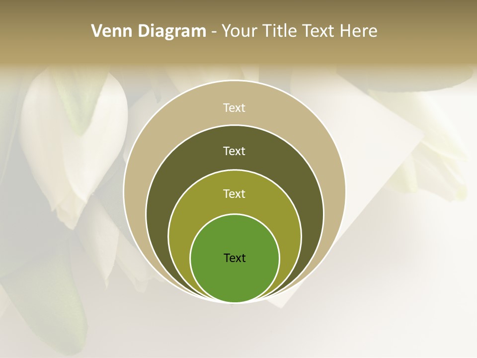 Tulip Card Letter PowerPoint Template
