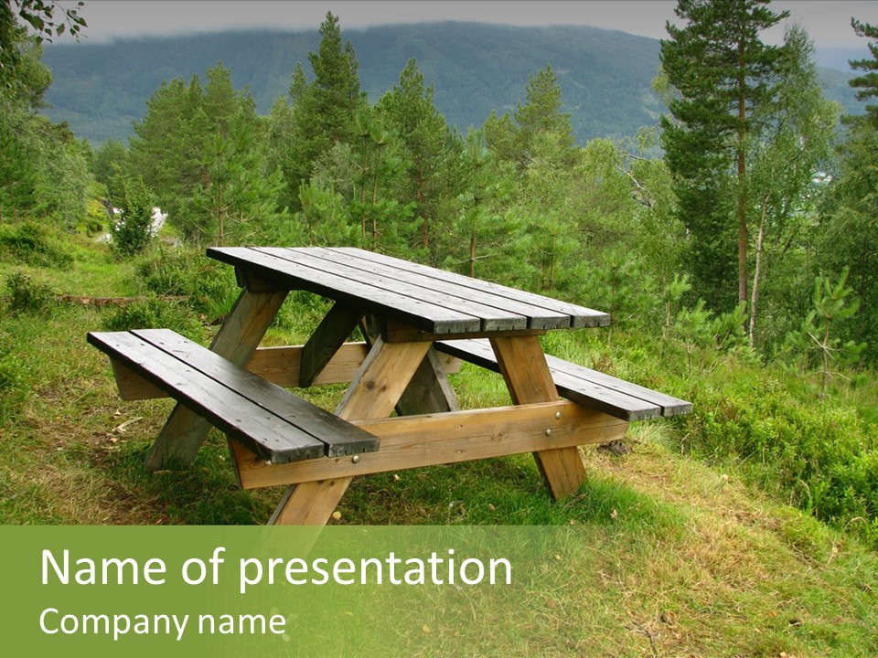 Backgrounds Picnic PowerPoint Template