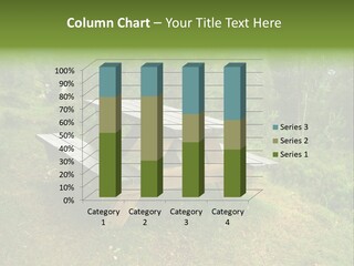 Backgrounds Picnic PowerPoint Template